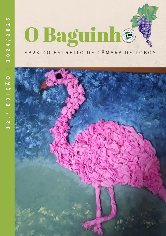 Revista 