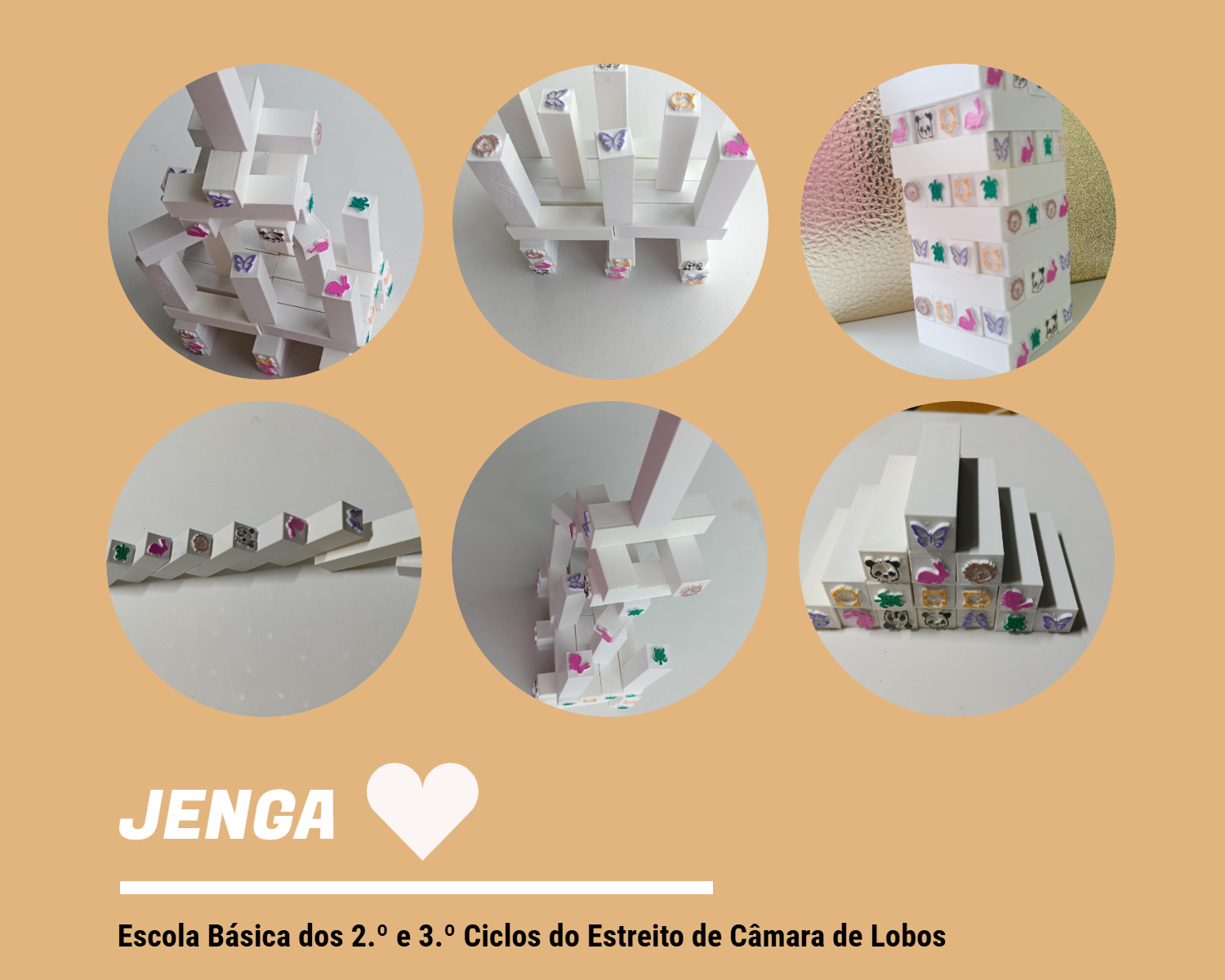 Alunas do 9ºB criam Jogo Didático em 3D